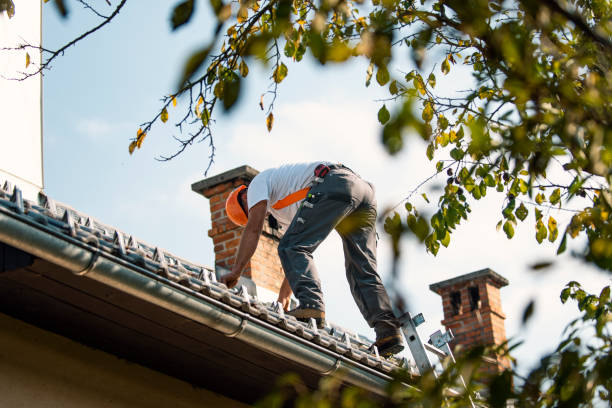 Professional Roofing Contractor in Marlinton, WV